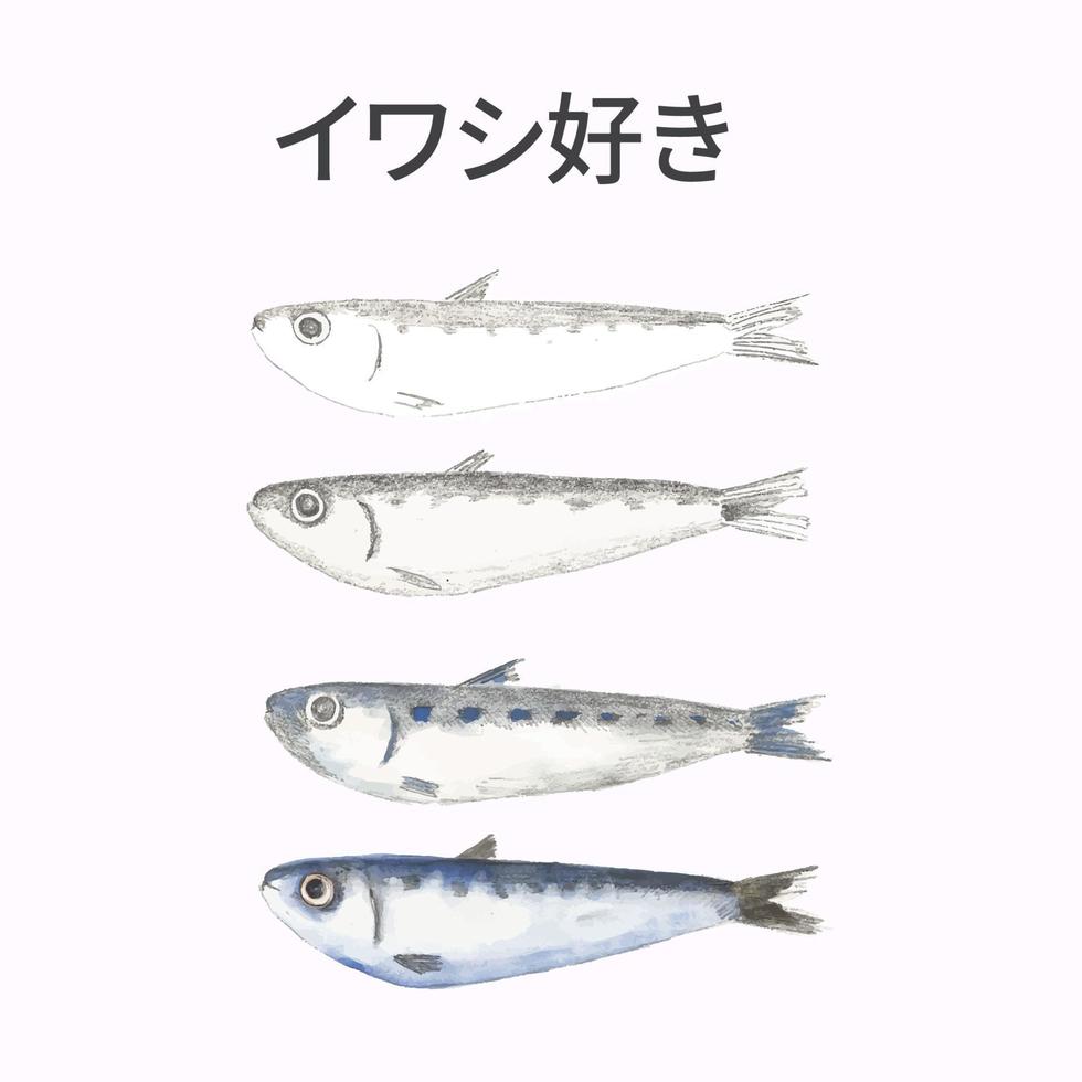 vetor de peixe japonês pastel em camadas koinobori e letras de kanji japonês