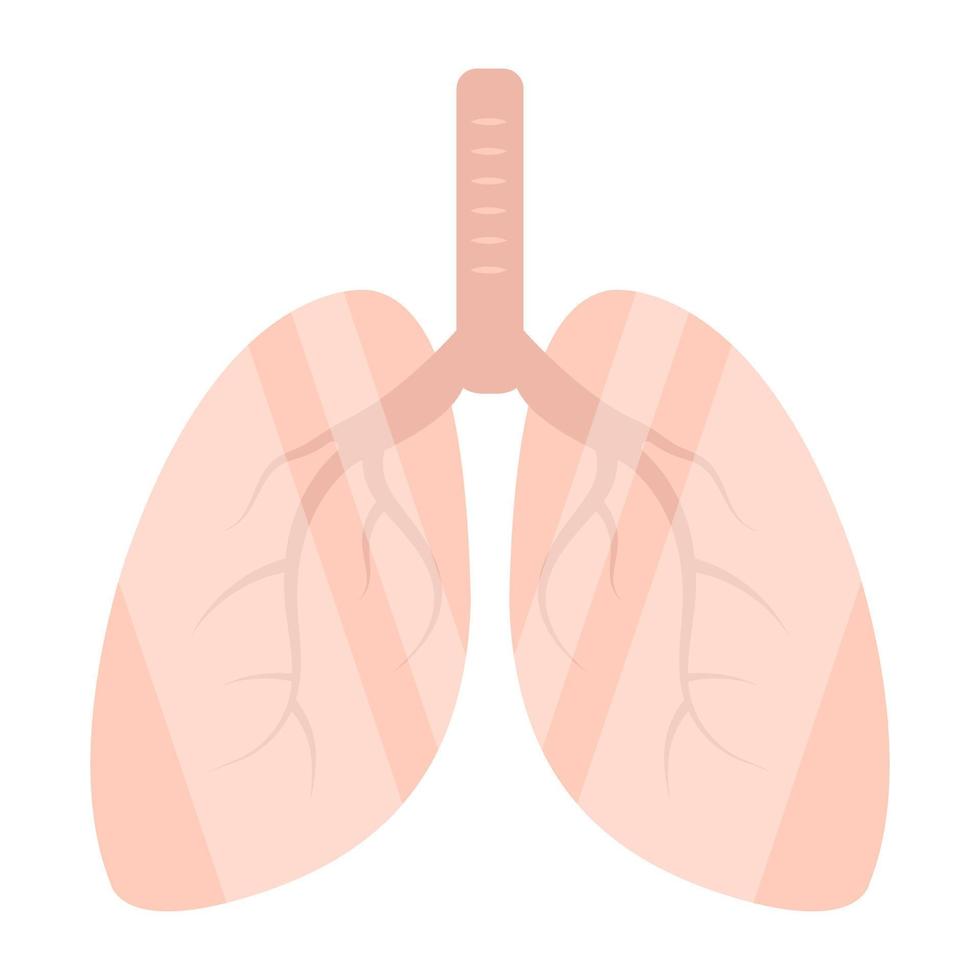 ícone de download premium de pulmões vetor