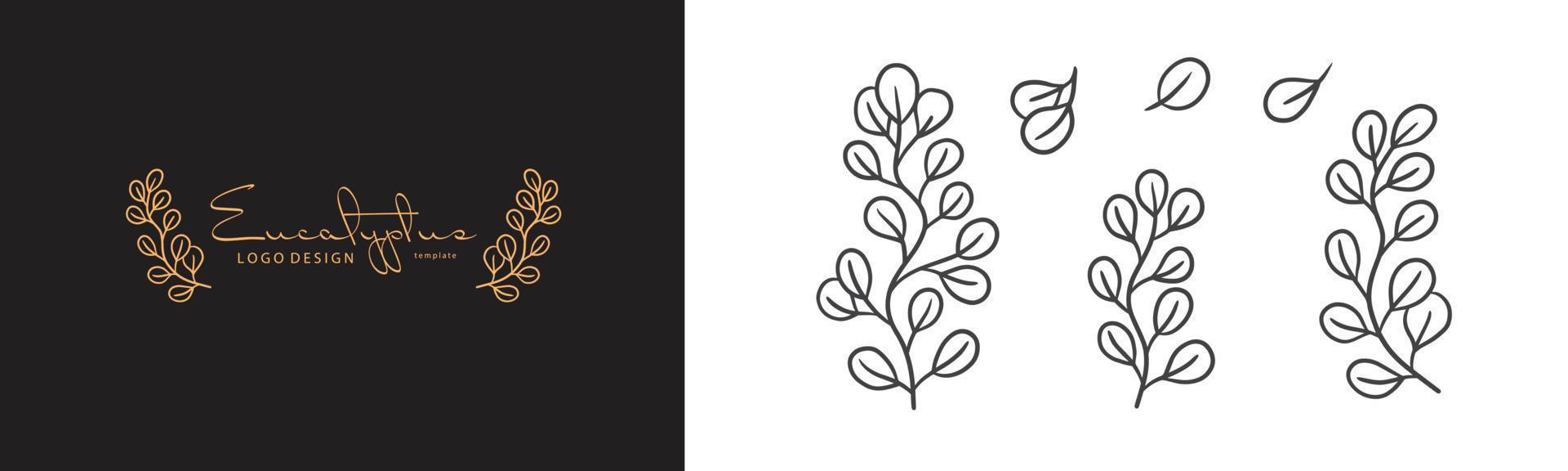 ilustração de planta de eucalipto orgânico e modelo de logotipo de crachás. rótulos de selo minimalista vintage para tag com folhas de eucalipto isoladas. conjunto de sinal natural desenhado à mão para design rústico simples. vetor