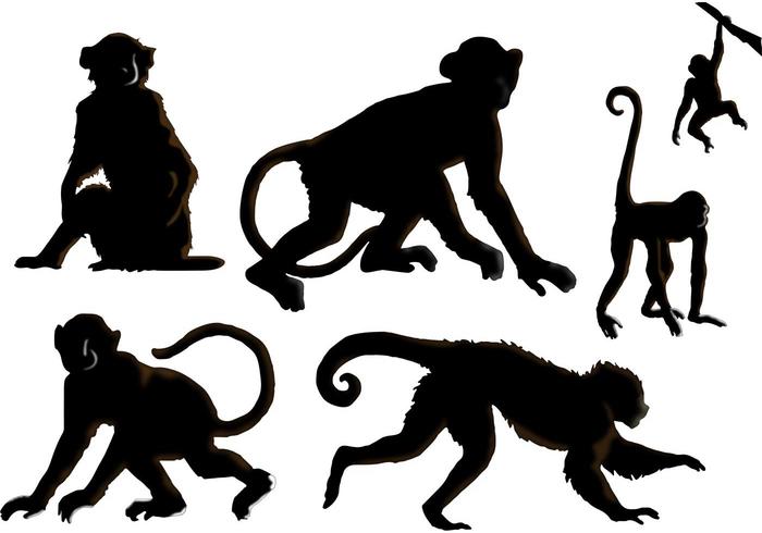 Adesivo Do Vetor Colorido De Macaco Morto Ilustração do Vetor - Ilustração  de fundo, macaco: 275986667