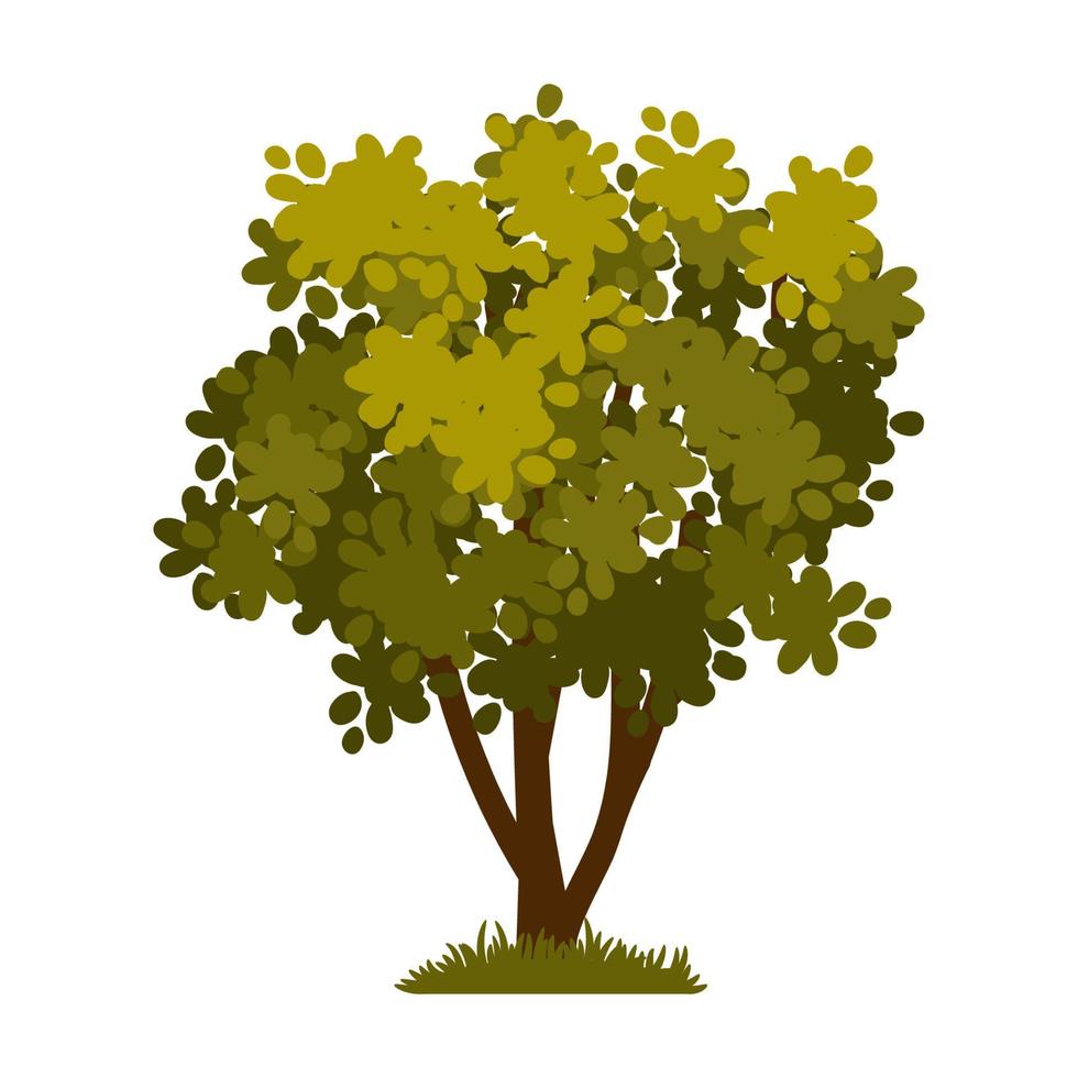árvore verde dos desenhos animados isolada em um fundo branco. elemento vetorial para paisagem de primavera ou verão. vetor