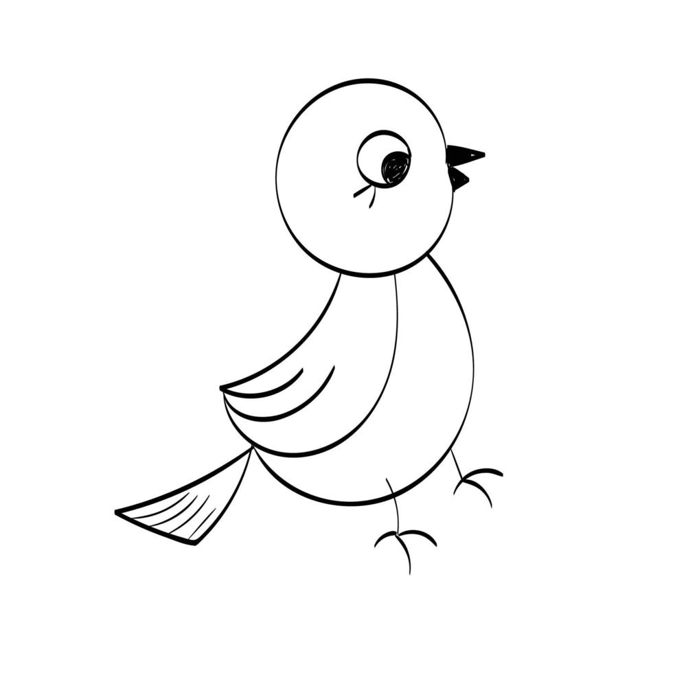 design de pássaro bonito desenhado à mão para impressão vetor