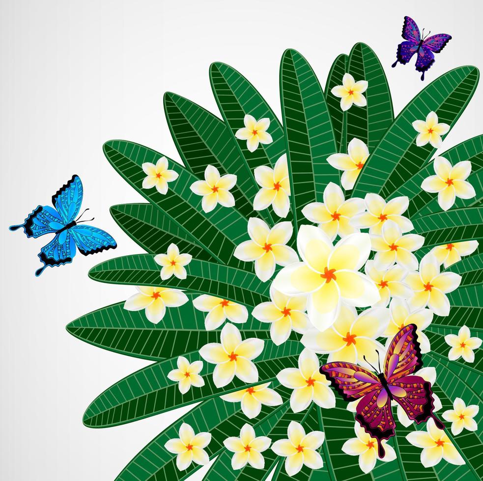 fundo de design floral eps10. flores de plumeria com borboletas. vetor