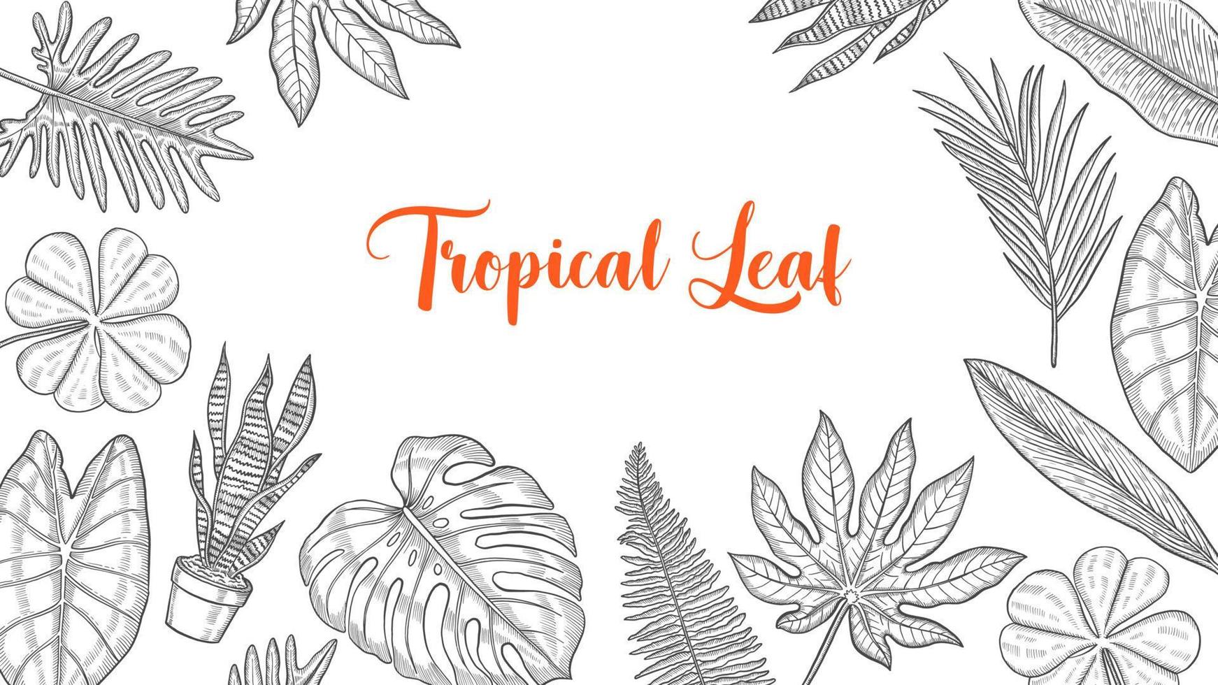 coleção de conjunto de folhas tropicais com esboço desenhado à mão para cartaz de modelo de banner de fundo vetor