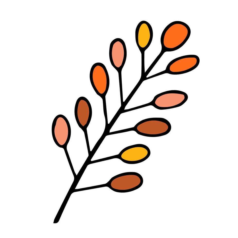 bagas de outono. colheita de outono. Olá outono. mão desenhada em estilo doodle. ilustração isolada. vetor