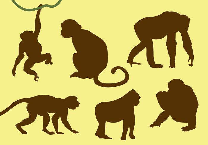 Coleção de vetores de silhuetas de macacos