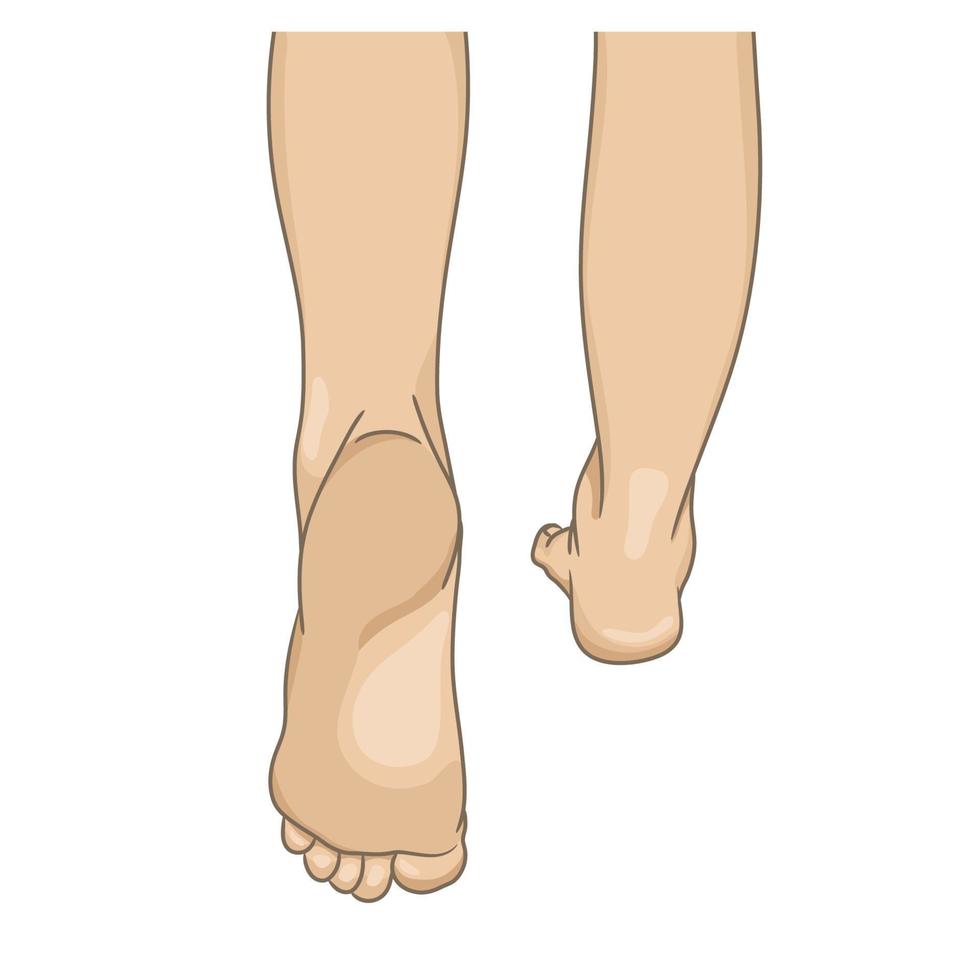 pernas femininas descalças, vista traseira, andando. ilustração vetorial, estilo cartoon desenhado à mão isolado no branco. vetor