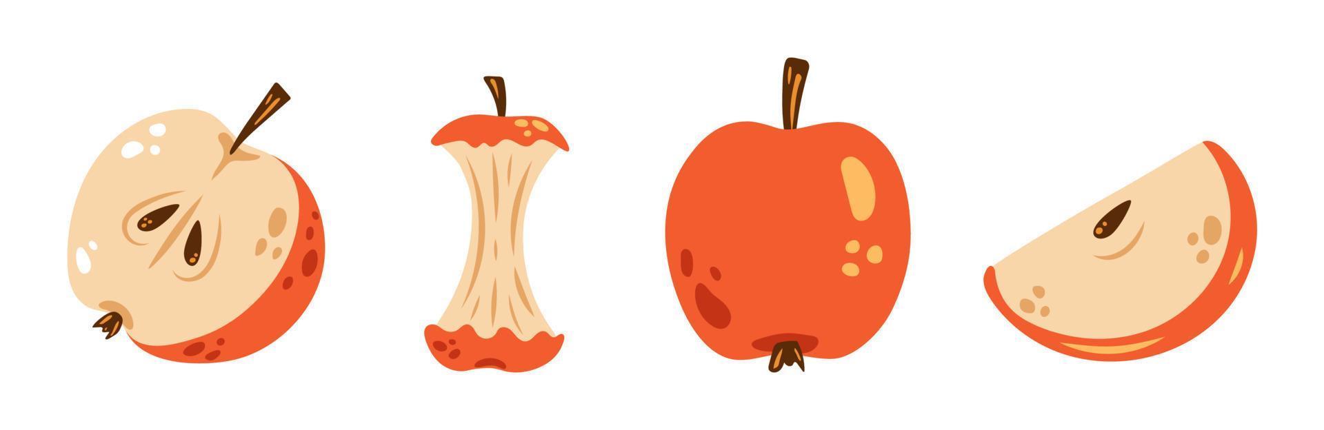 conjunto de maçã de vetor. lindas maçãs vermelhas em design plano. coleção colorida de maçã inteira, metade de maçã, fatia e núcleo de maçã. vetor