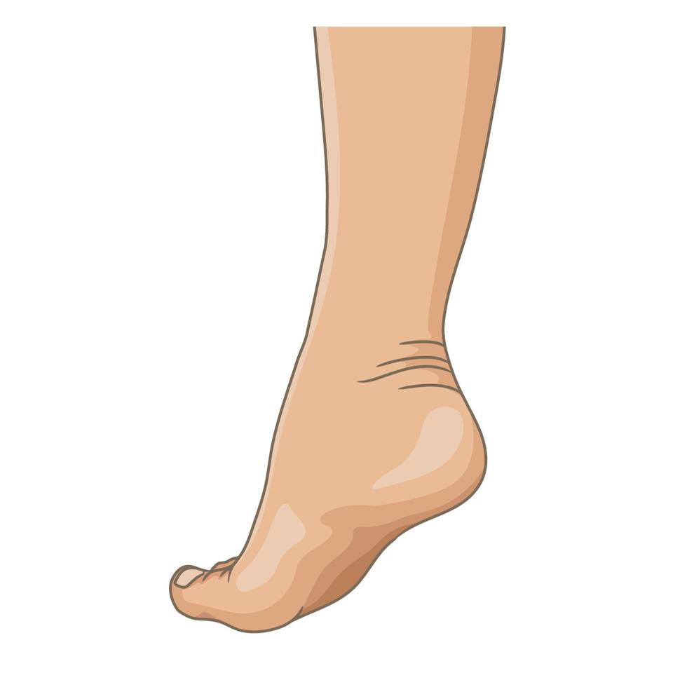 pernas femininas com os pés descalços, vista lateral. ilustração vetorial, estilo cartoon desenhado à mão isolado no branco. vetor