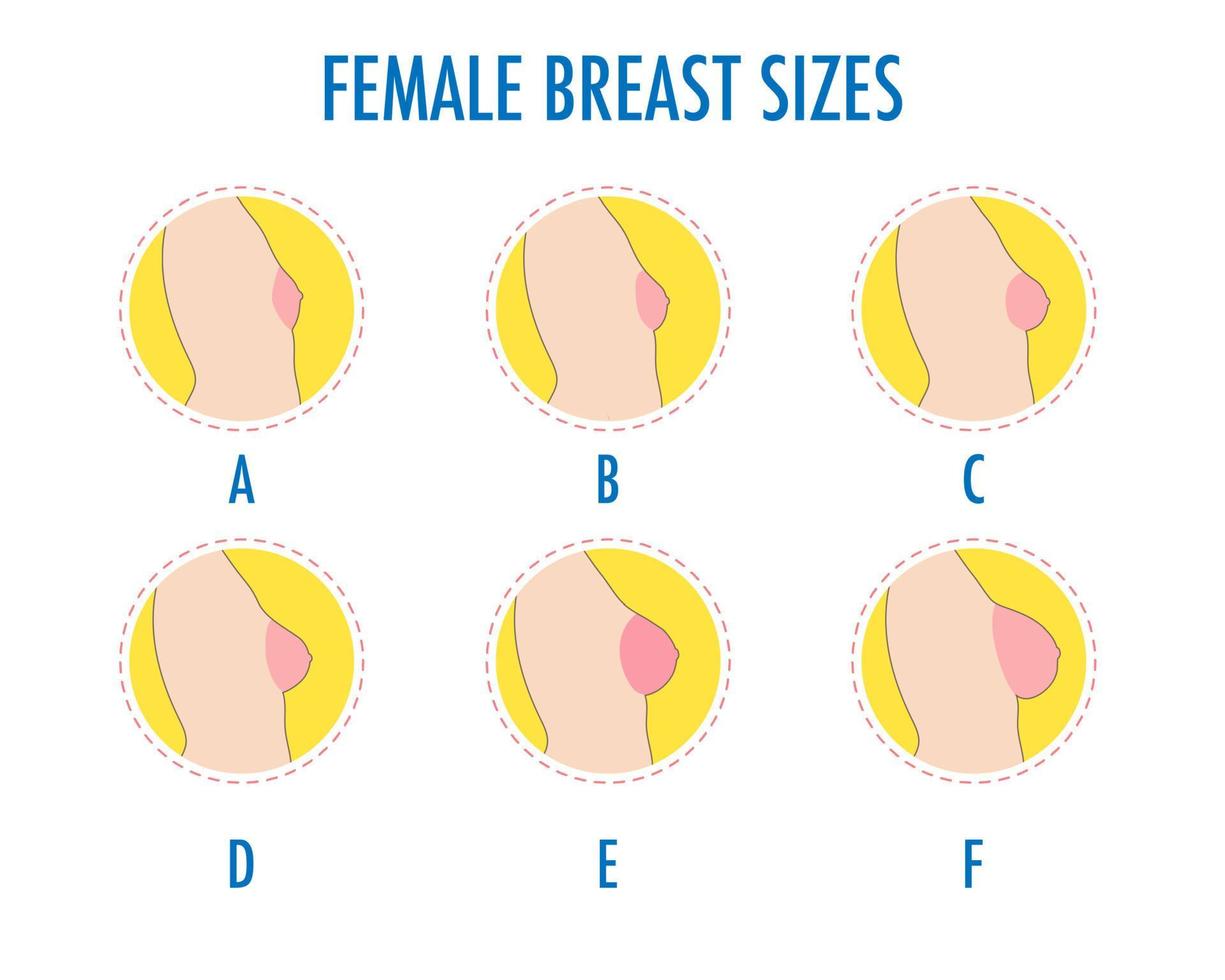 conjunto de ícones de linha redonda de diferentes tamanhos de mama feminina, vista lateral do corpo. vetor