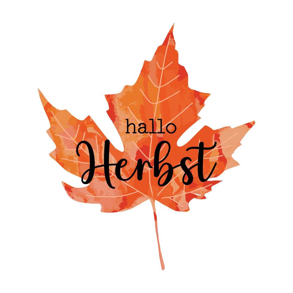 belo texto de letras de caligrafia - hallo herbst - tradução alemã - olá outono outono. ilustração em vetor de folha de bordo artística aquarela vermelha laranja brilhante isolada no fundo branco