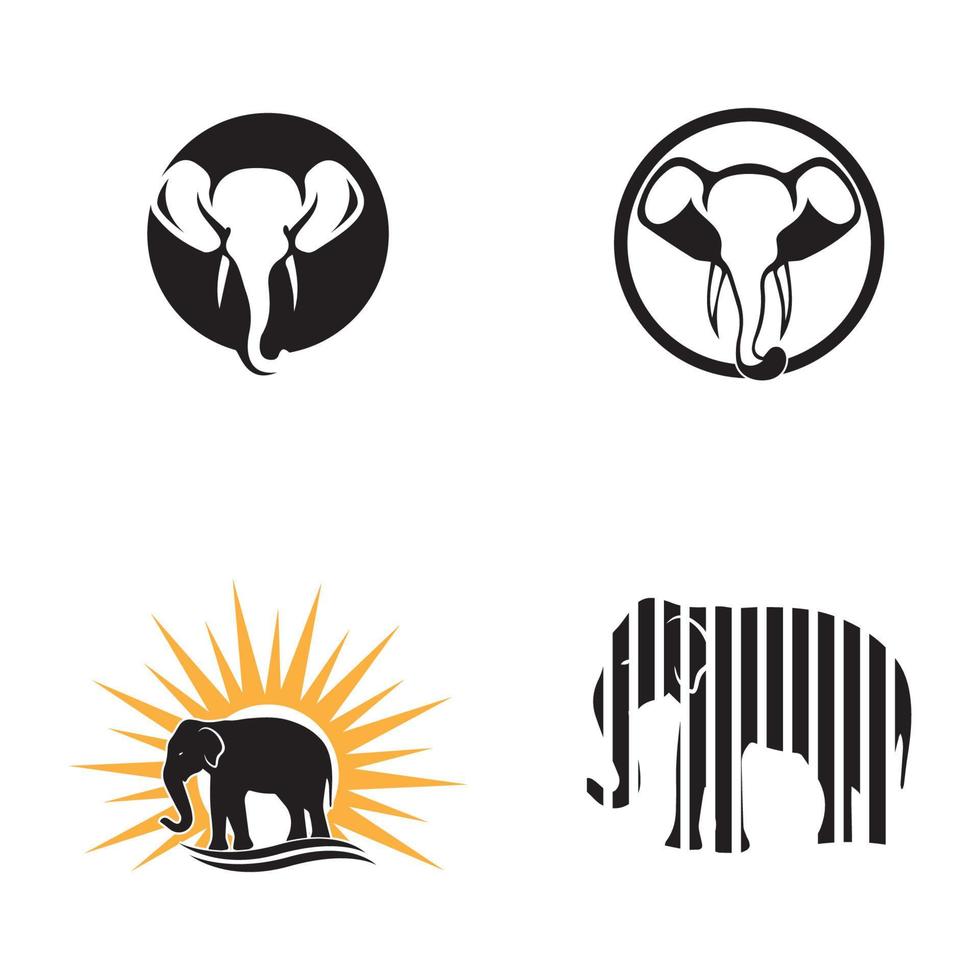 design de ilustração vetorial de modelo de logotipo de elefante vetor