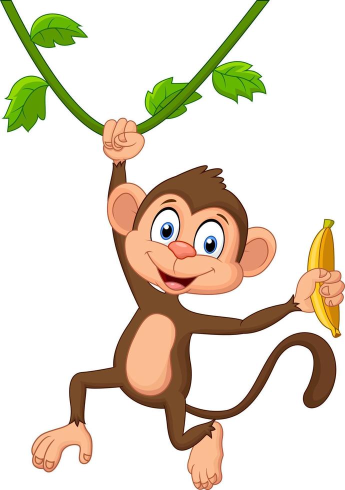 macaco de desenho animado pendurado vetor