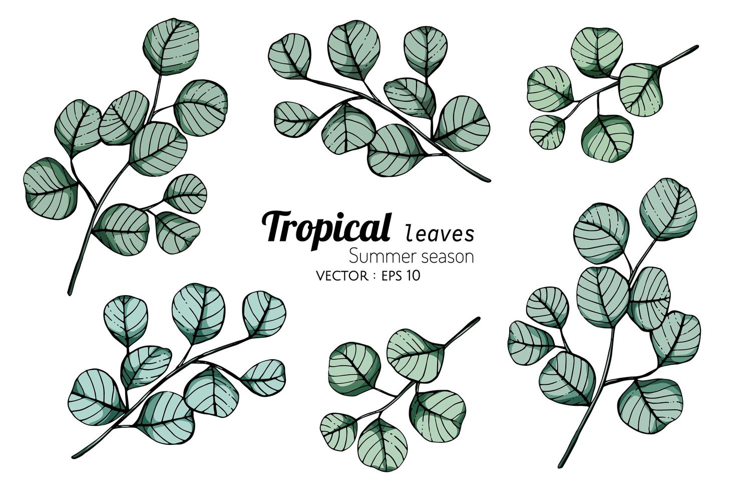 folhas tropicais mão desenhada folhas vetor