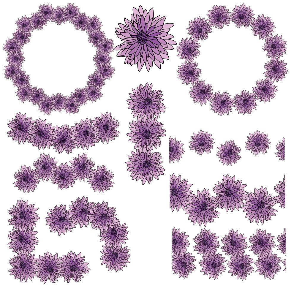 conjunto de quadros, divisores, cantos e bordas de flores de crisântemo roxo, elementos decorativos florais para design vetor