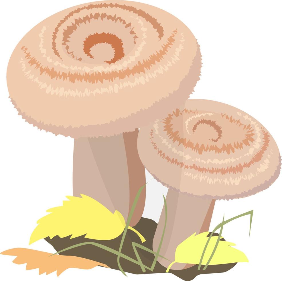 ilustração vetorial de cogumelos vetor