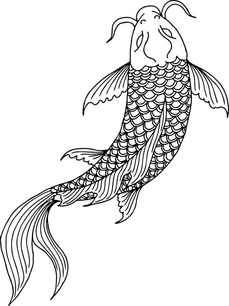 desenho vector contorno de peixe dourado asiático