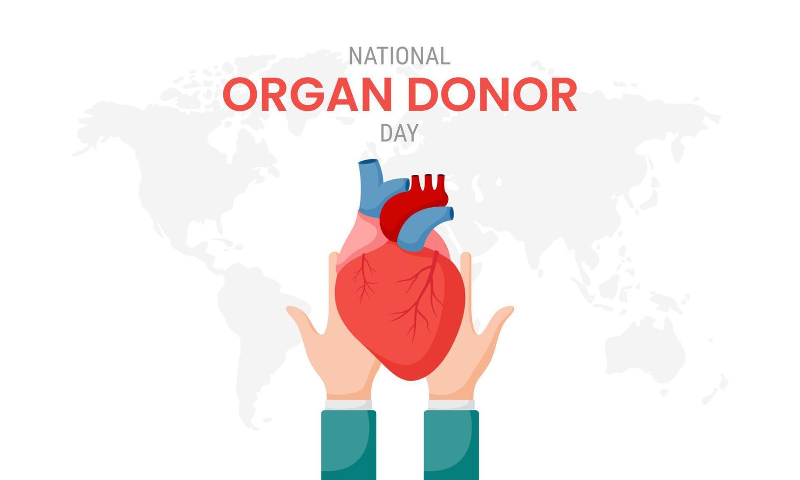 dia nacional do doador de órgãos com coração humano vetor