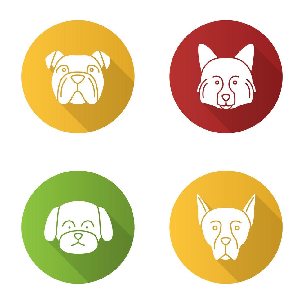 cães raças design plano longa sombra conjunto de ícones de glifo. bulldog inglês, spitz alemão, maltês, doberman pinscher.vector silhueta ilustração vetor