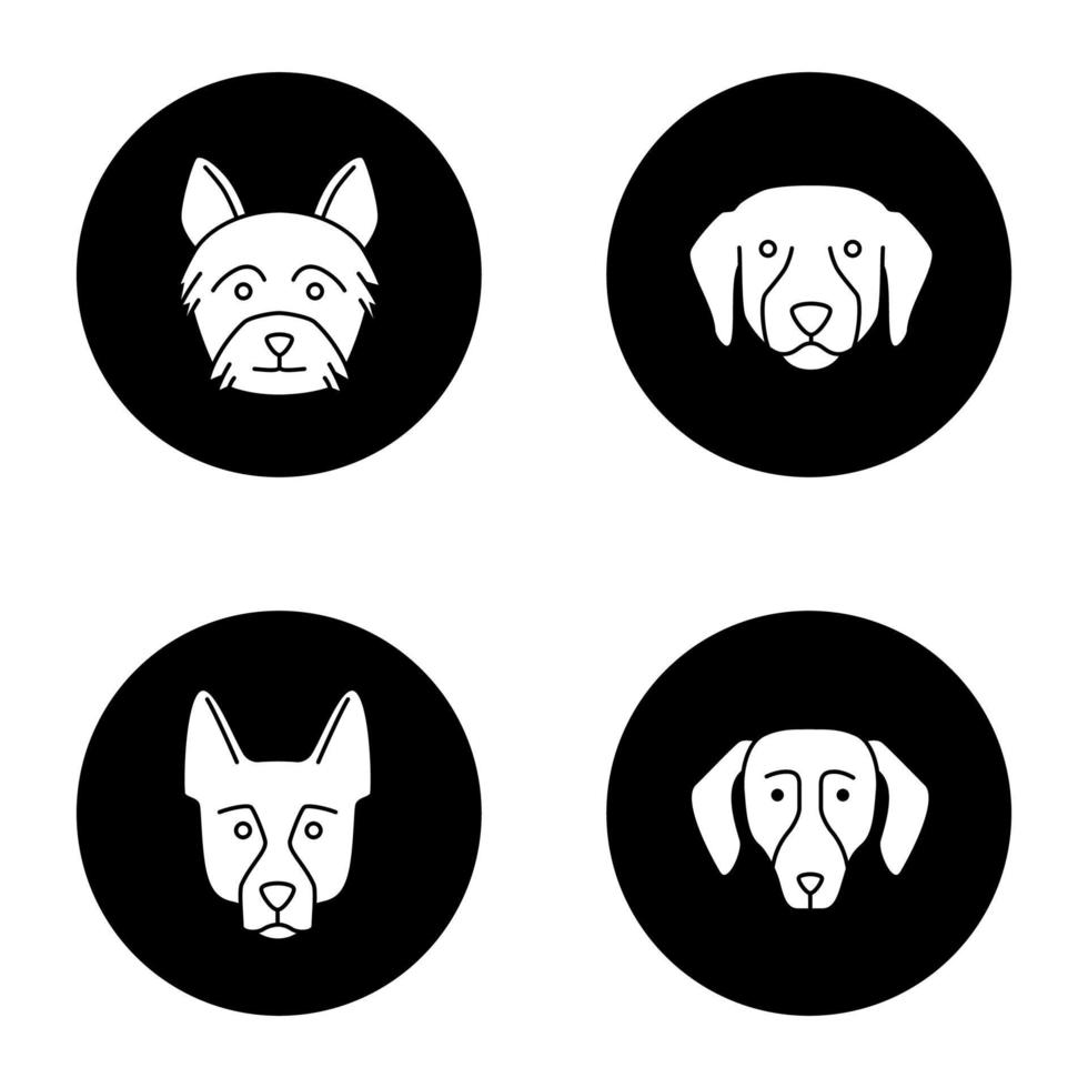 conjunto de ícones de glifo de raças de cães. yorkshire terrier, labrador retriever, pastor alemão, dachshund. ilustrações vetoriais de silhuetas brancas em círculos pretos vetor
