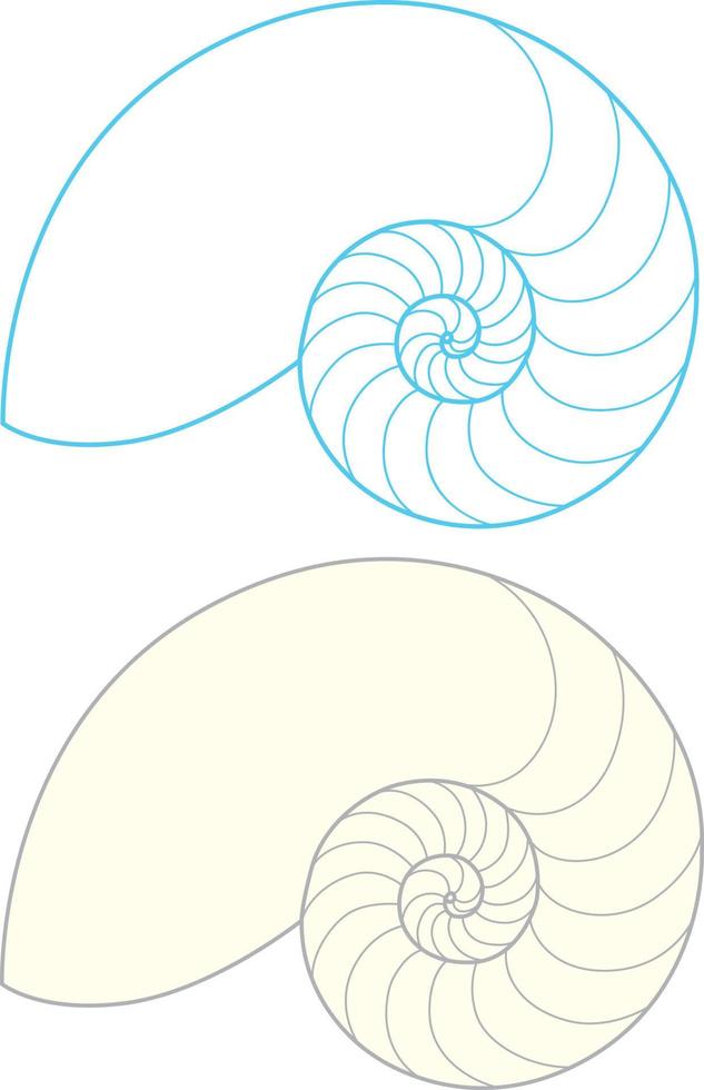 contorno de concha de nautilus em fundo branco vetor