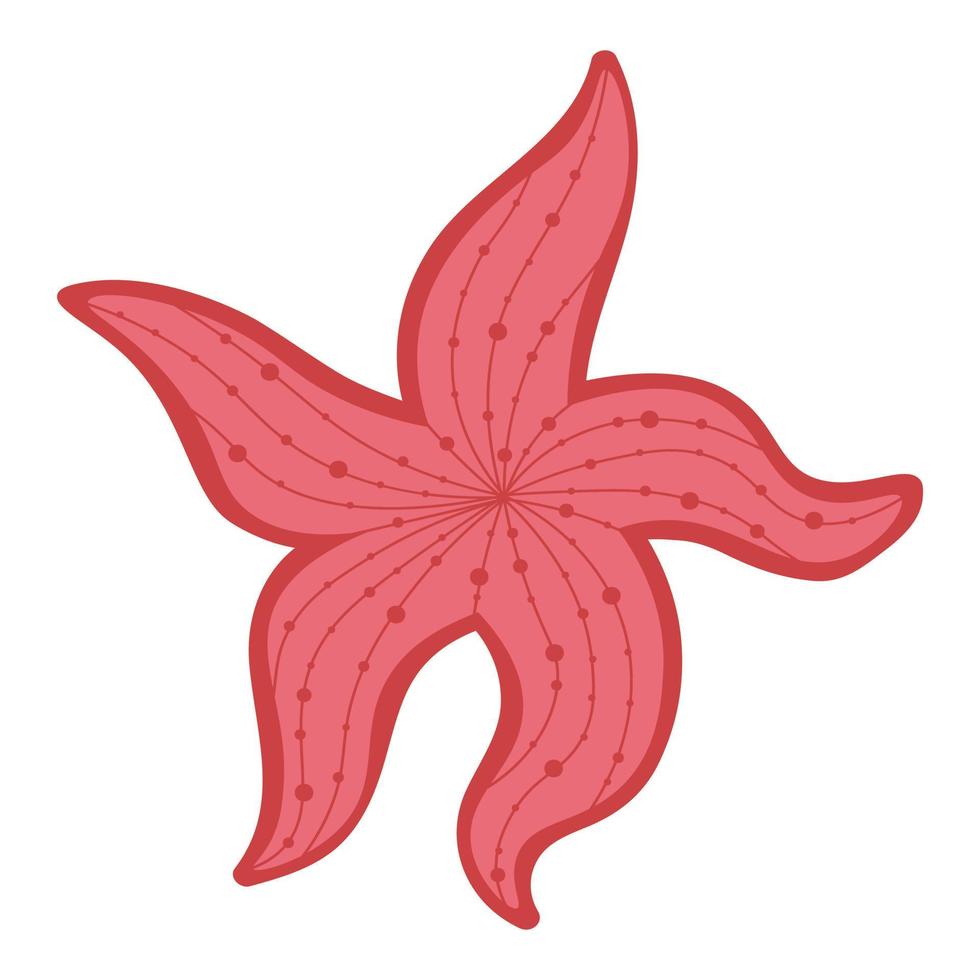 estrela do mar tropical. doodle clipart plano. todos os objetos são repintados. vetor