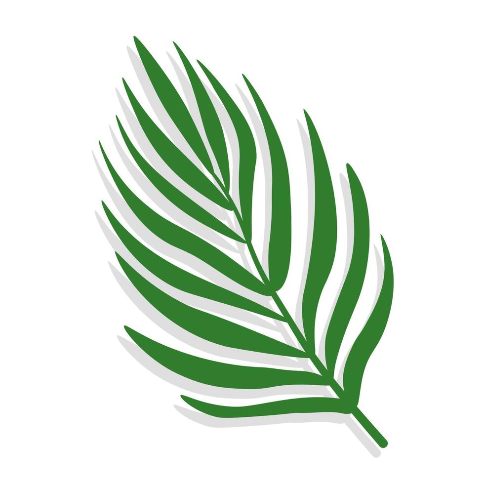 folha tropical verde de palmeira com sombra. ilustração vetorial simples isolada no fundo branco. vetor