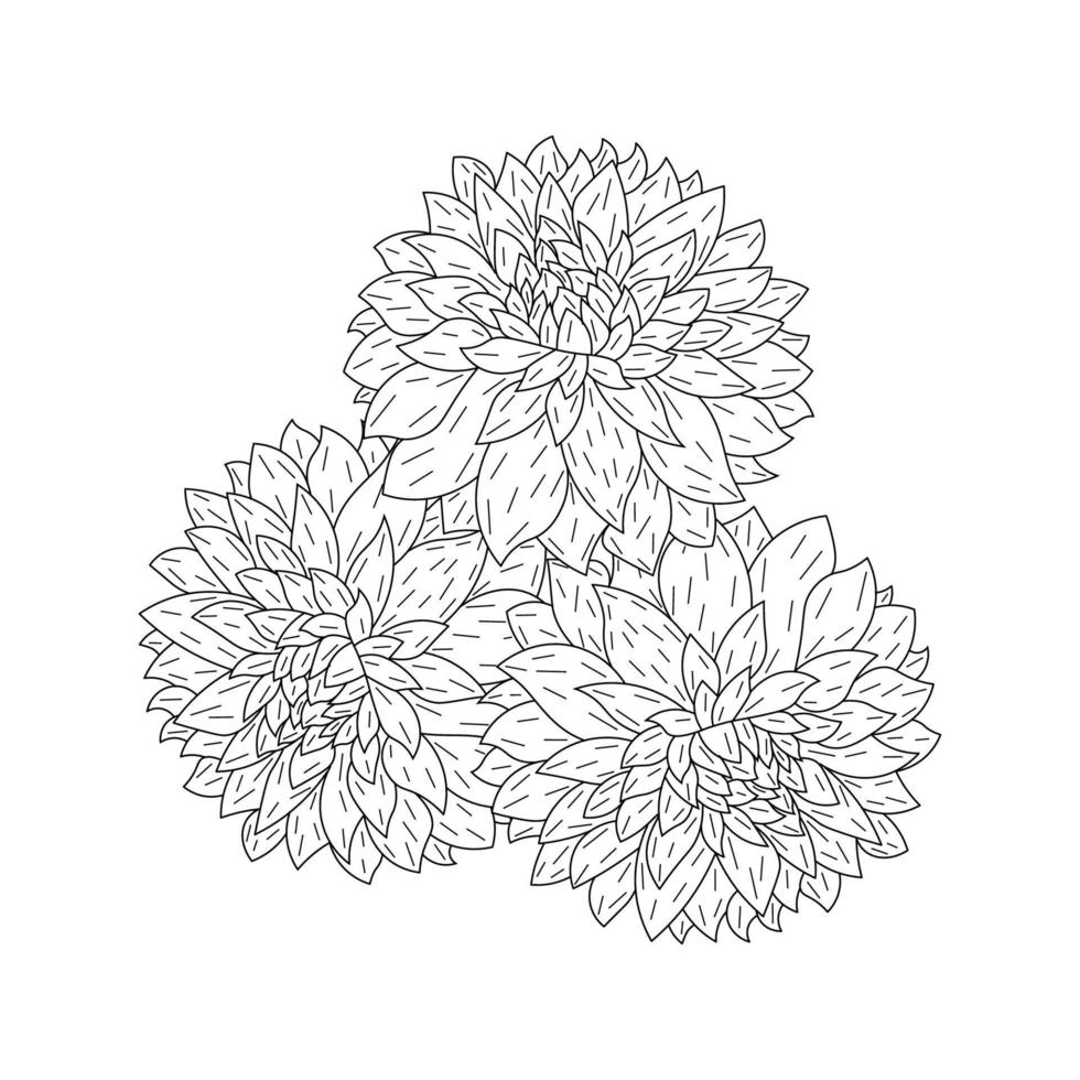 página para colorir de flor dália ou dalia de ilustrações vetoriais na arte de linha de estilo doodle de esboço desenhado à mão vetor