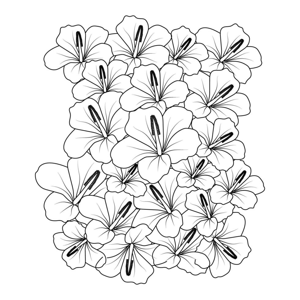 arte de linha de flor de hibisco desenhando esboço de ilustração vetorial de traço preto sobre fundo branco vetor