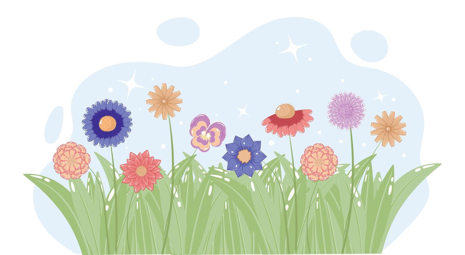 arranjo horizontal de primavera de flores de camomila e calêndula em um prado com grama isolada em um fundo branco com um círculo azul vetor