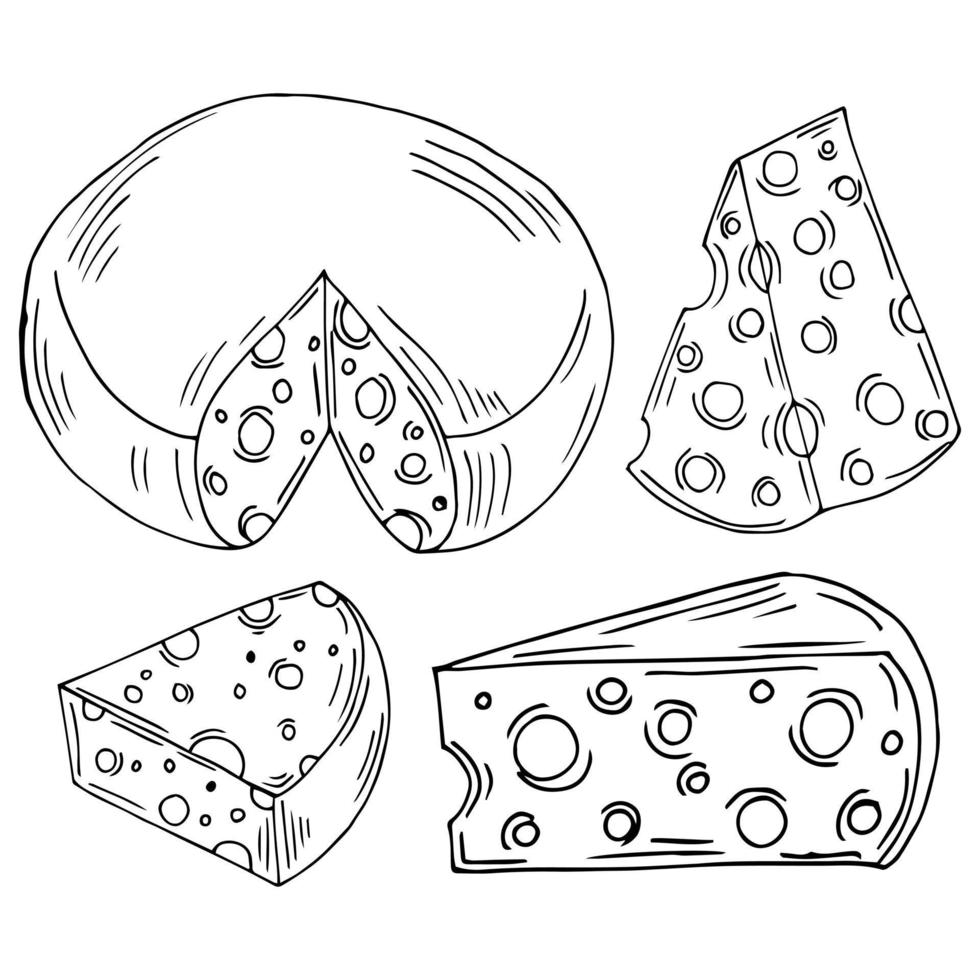ilustrações vetoriais desenhadas à mão de queijo. produto do mercado agrícola. Alimentação saudável. ilustração de alimentos orgânicos. conjunto de queijo isolado. vetor