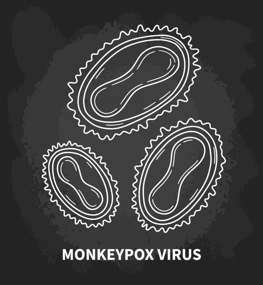 Monkeypox virus estrutura interna da célula em close-up, esquema linear isolado biológico do poxvirus. ilustração vetorial da doença em estilo doodle desenhado à mão. vetor