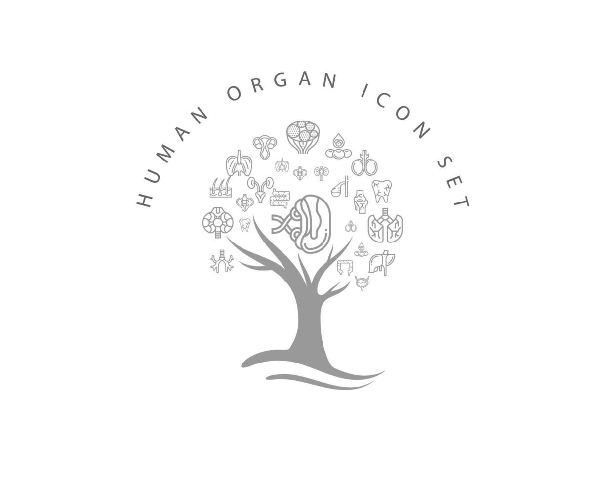 ícone de órgão humano em fundo branco vetor