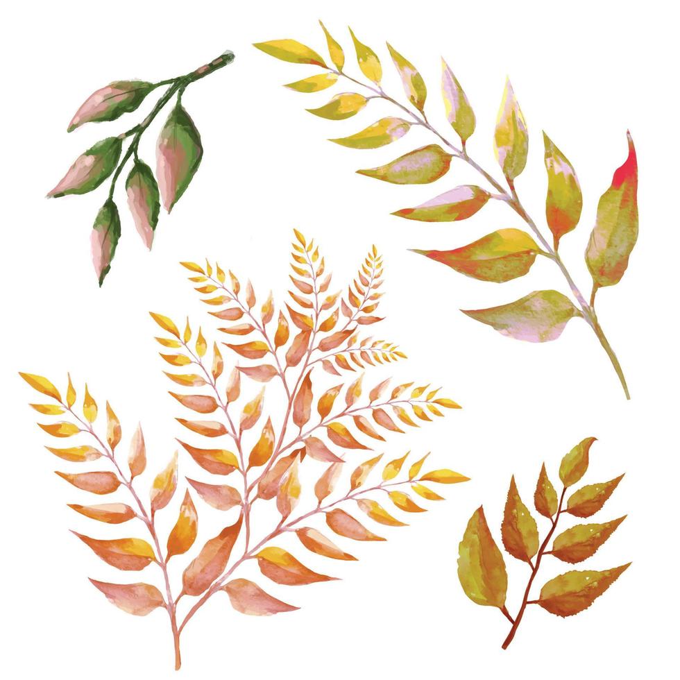 folhas secas de árvores em ilustração de estilo boho vetor