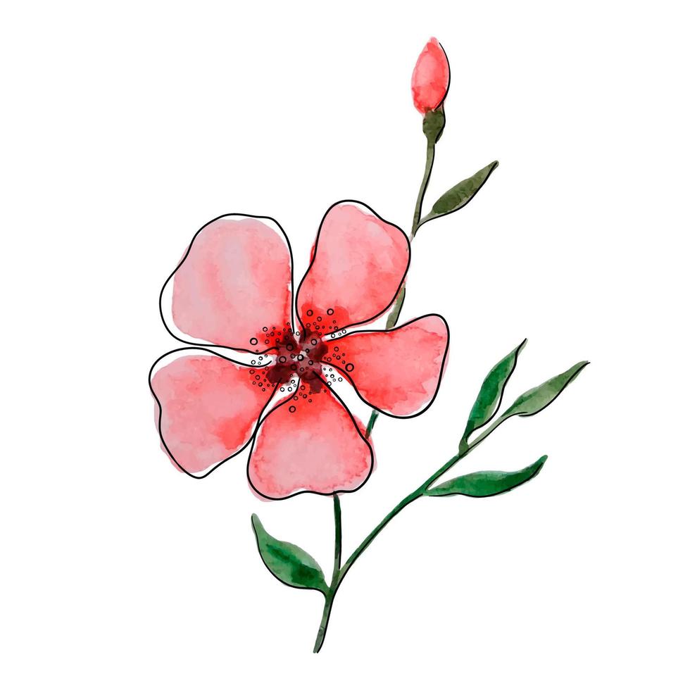 flor vermelha de vetor em aquarela.