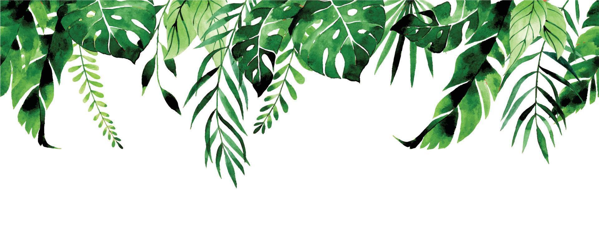 desenho em aquarela. fronteira sem costura, moldura, banner com folhas tropicais. folhas verdes de palmeira, monstera, folhas de bananeira em um fundo branco. plantas da selva, floresta tropical. vetor