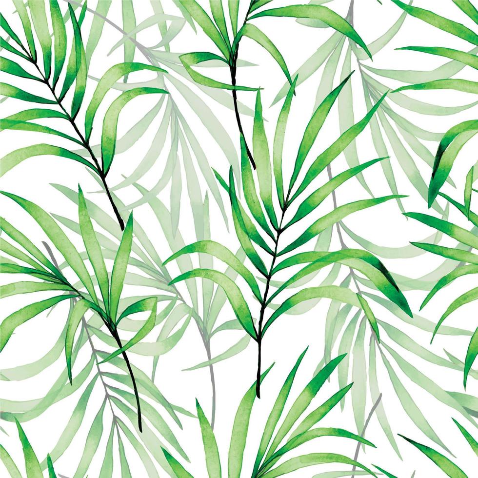 sem costura padrão de aquarela com folhas de palmeira transparente tropical. folhas tropicais verdes em um fundo branco. vetor