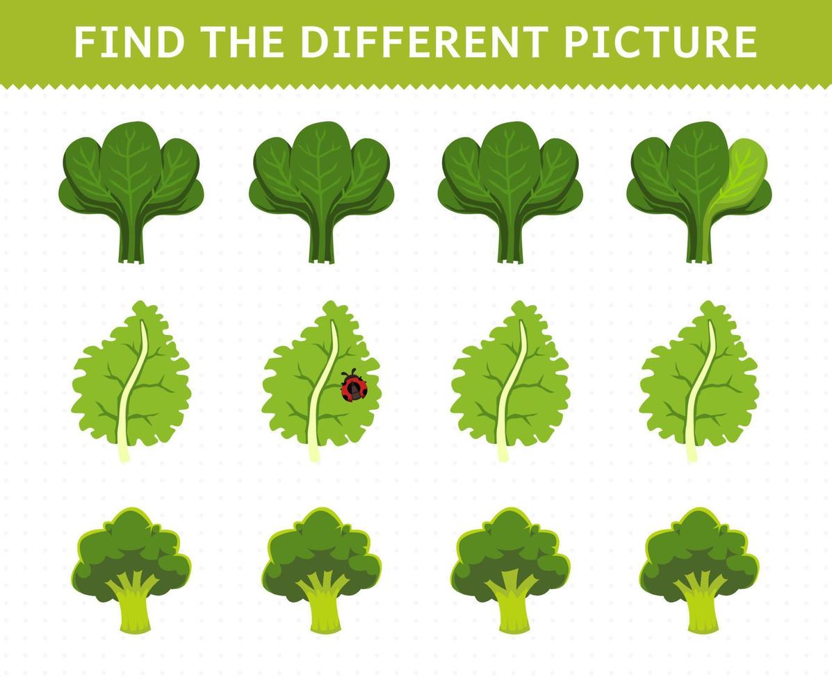 jogo de educação para crianças encontre a imagem diferente em cada linha legumes espinafre couve brócolis vetor