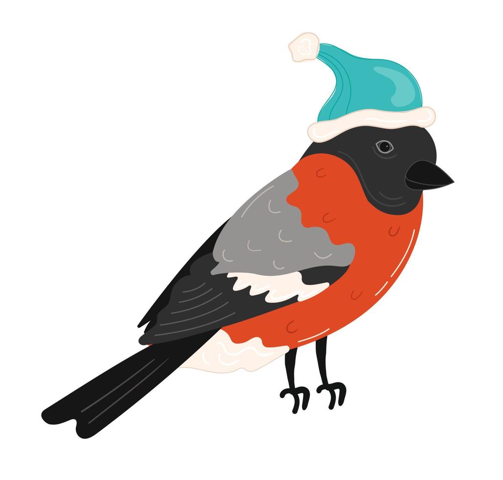 bullfinches ou robin no natal teve em fundo branco isolado vetor