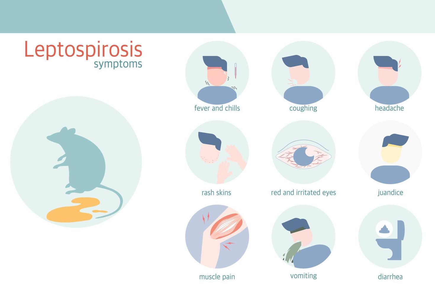 infográfico de sintomas de leptospirose vetor