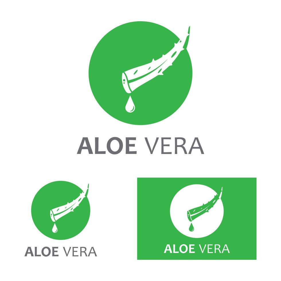 modelo de ilustração vetorial de logotipo de aloe vera vetor