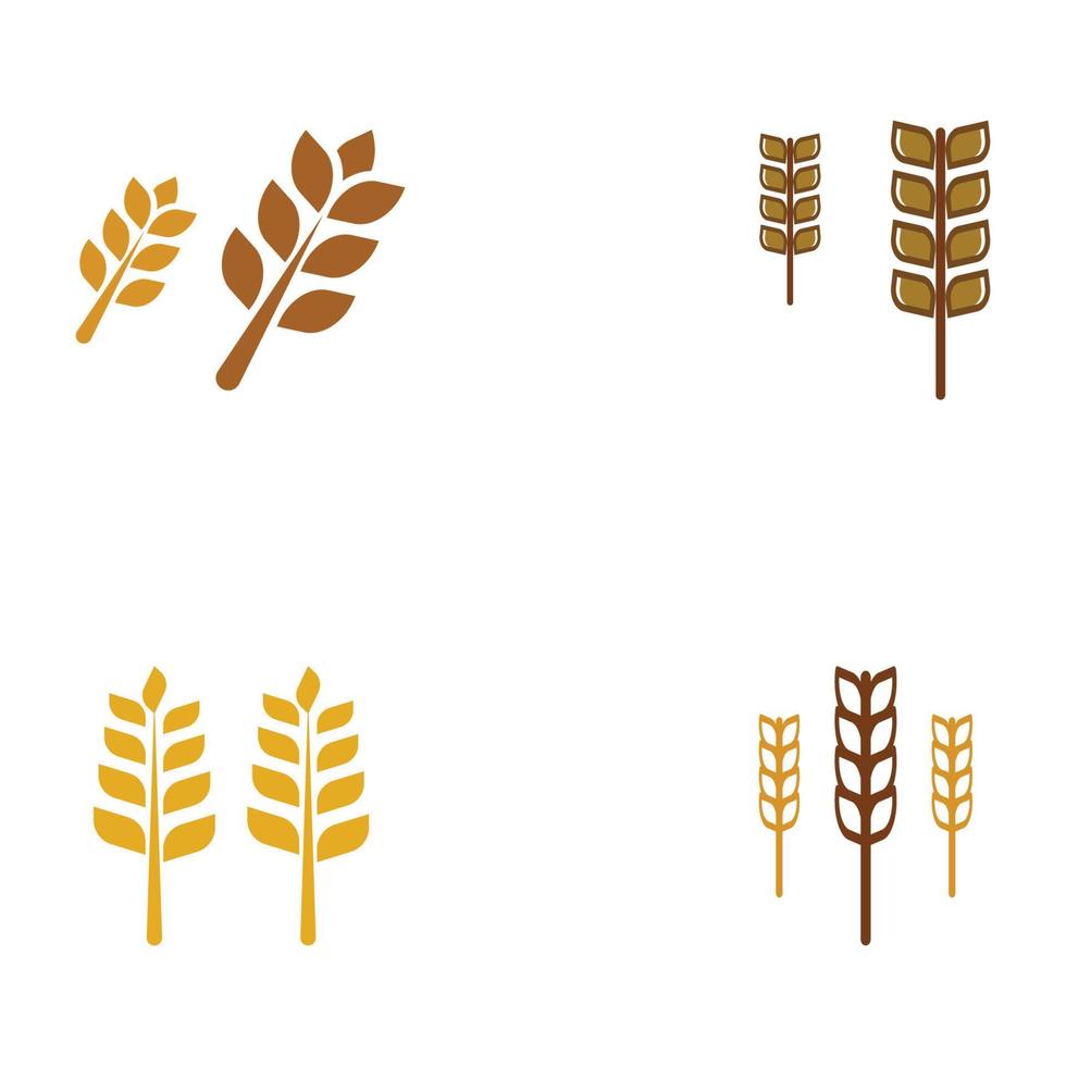 logotipo de trigo ou cereal, campo de trigo e logotipo de fazenda de trigo. com ilustrações de edição fáceis e simples. vetor