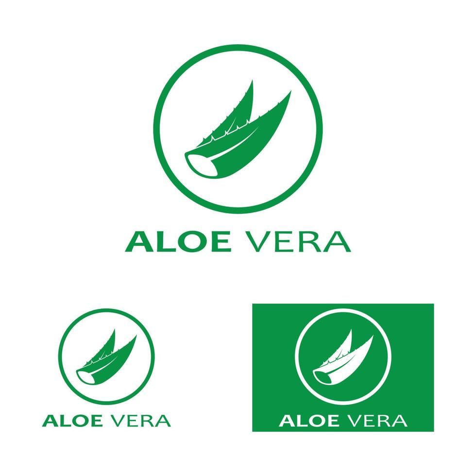 modelo de ilustração vetorial de logotipo de aloe vera vetor