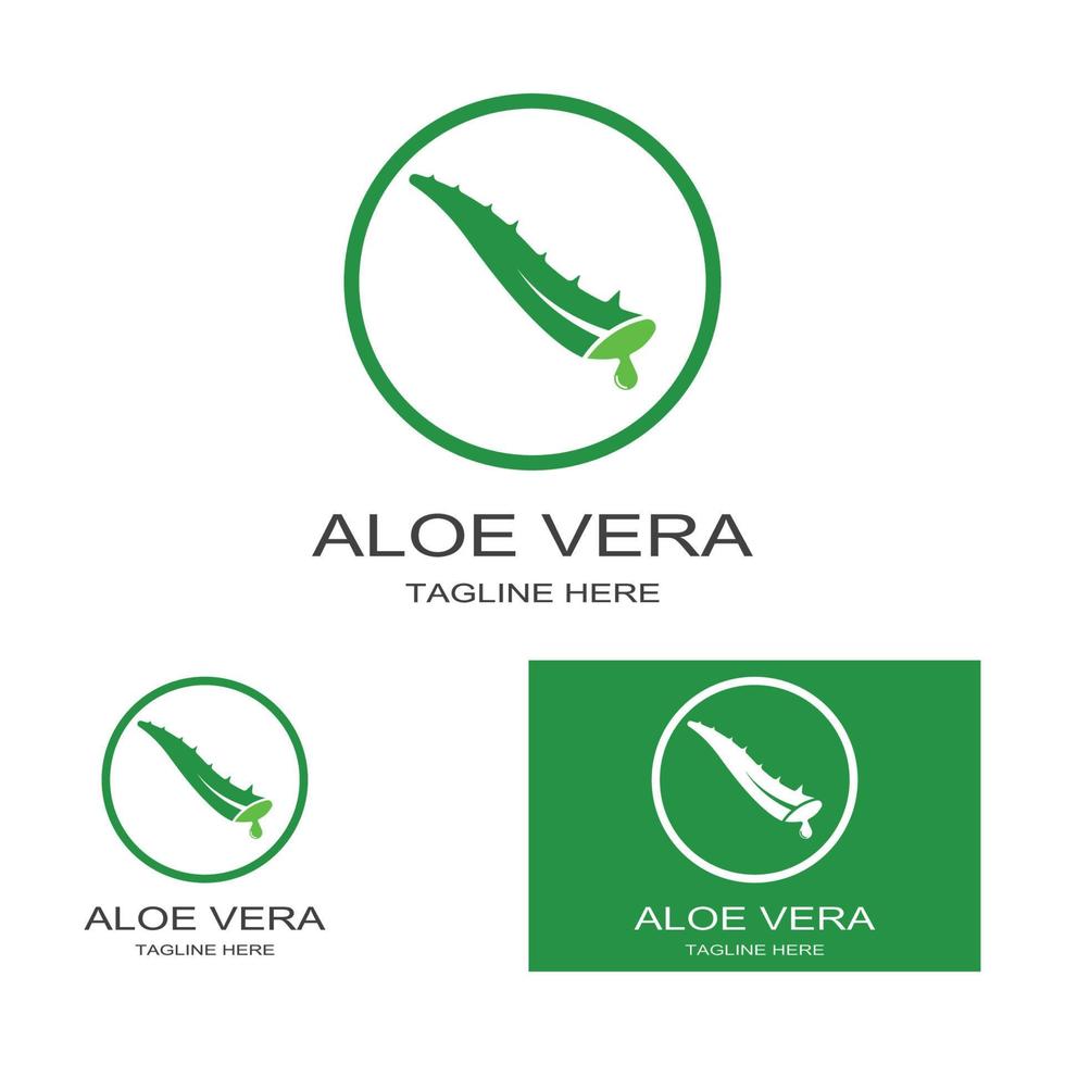 modelo de ilustração vetorial de logotipo de aloe vera vetor