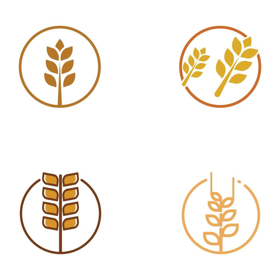 logotipo de trigo ou cereal, campo de trigo e logotipo de fazenda de trigo. com ilustrações de edição fáceis e simples. vetor