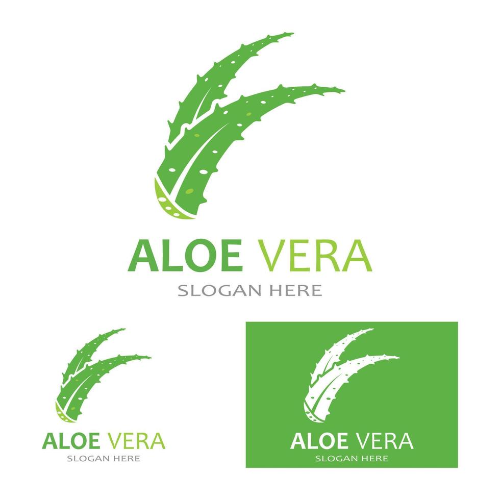 modelo de ilustração vetorial de logotipo de aloe vera vetor