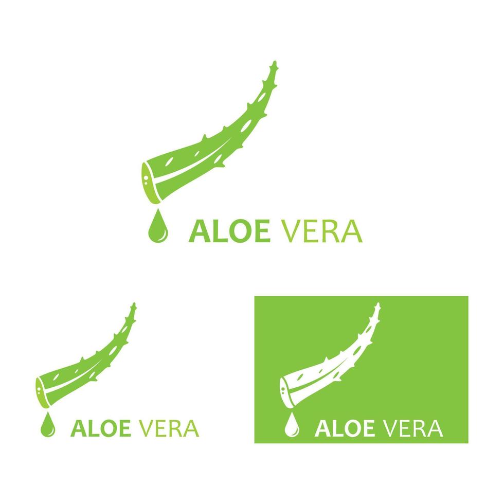 modelo de ilustração vetorial de logotipo de aloe vera vetor