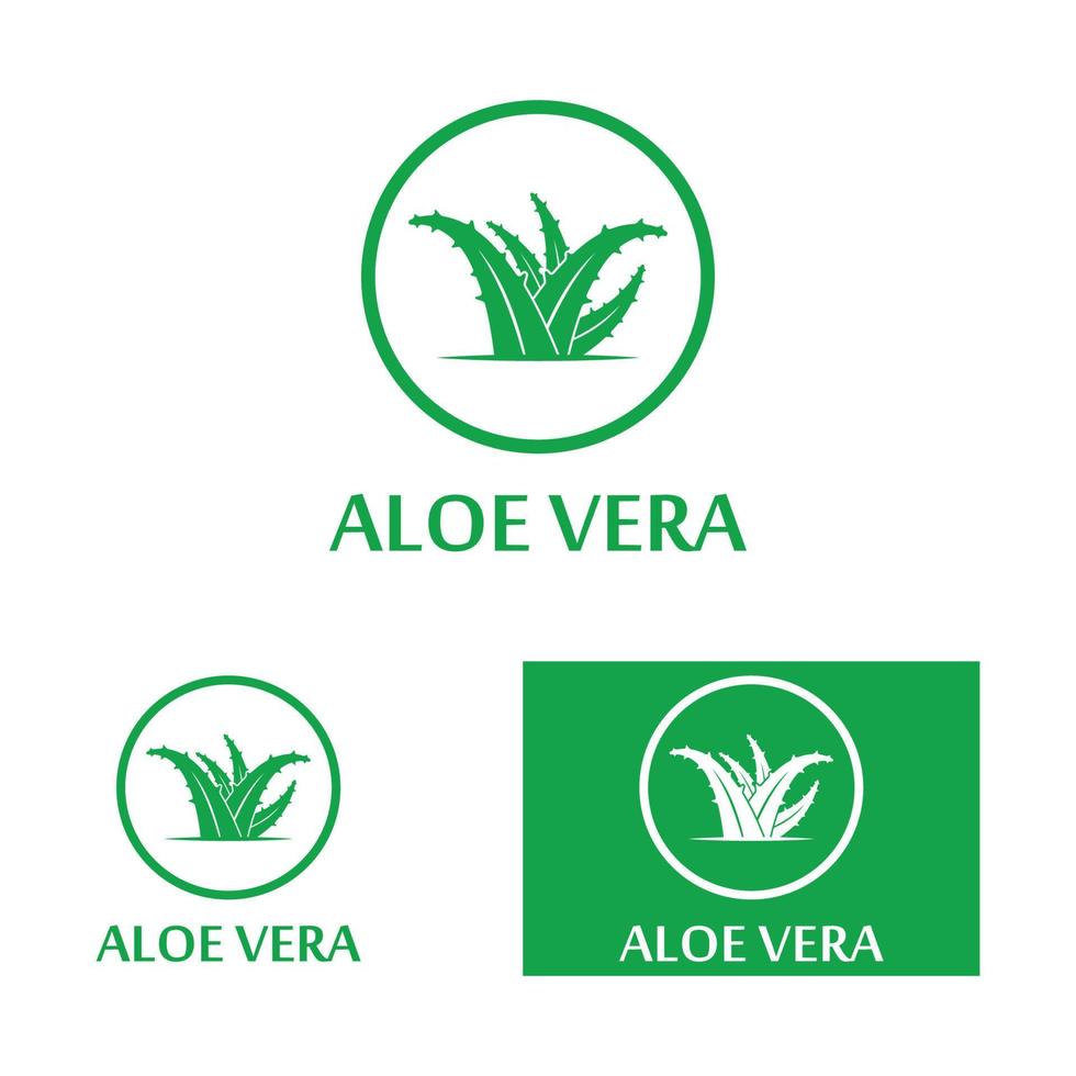 modelo de ilustração vetorial de logotipo de aloe vera vetor