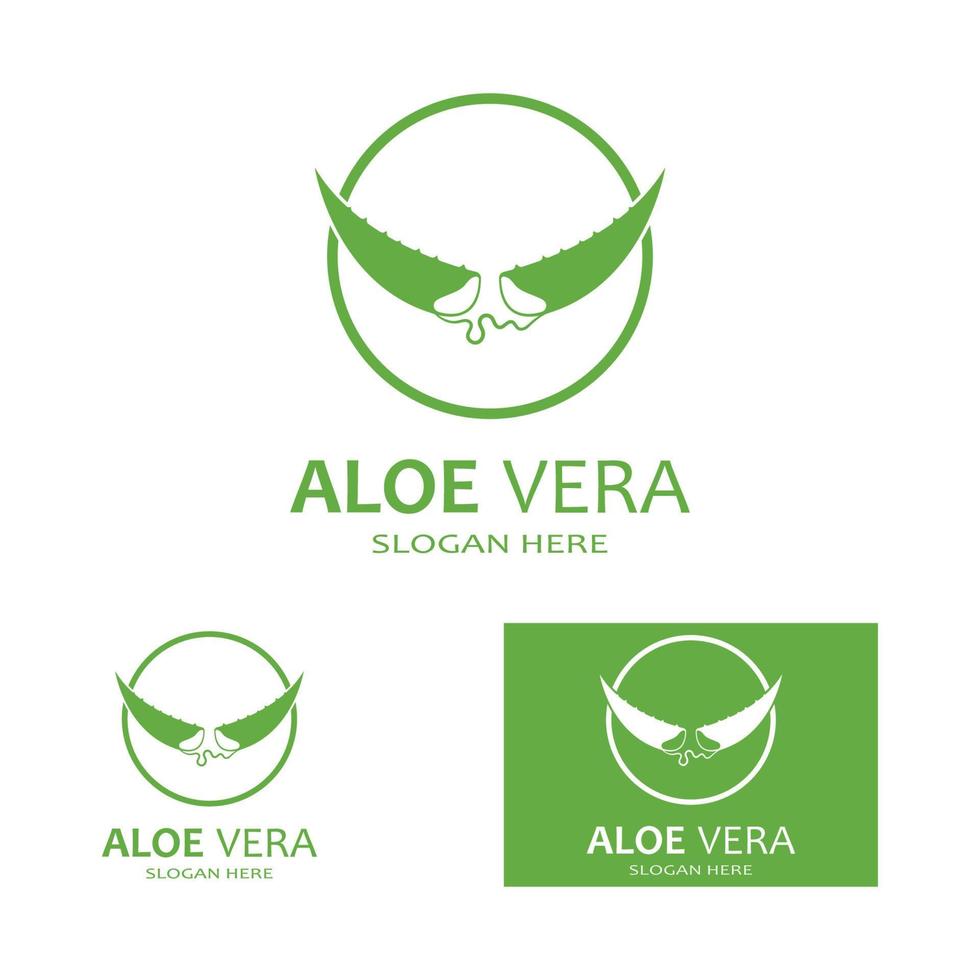 modelo de ilustração vetorial de logotipo de aloe vera vetor