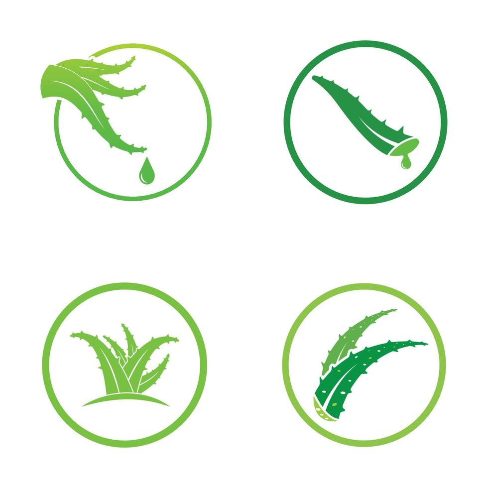 modelo de ilustração vetorial de logotipo de aloe vera vetor